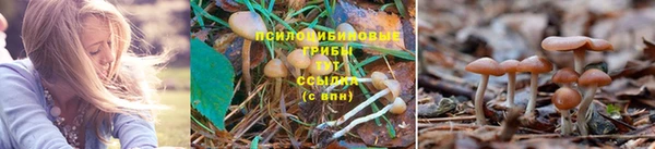 мефедрон мука Армянск