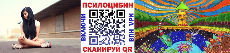 Псилоцибиновые грибы Psilocybe  хочу наркоту  кракен как зайти  Старая Купавна 